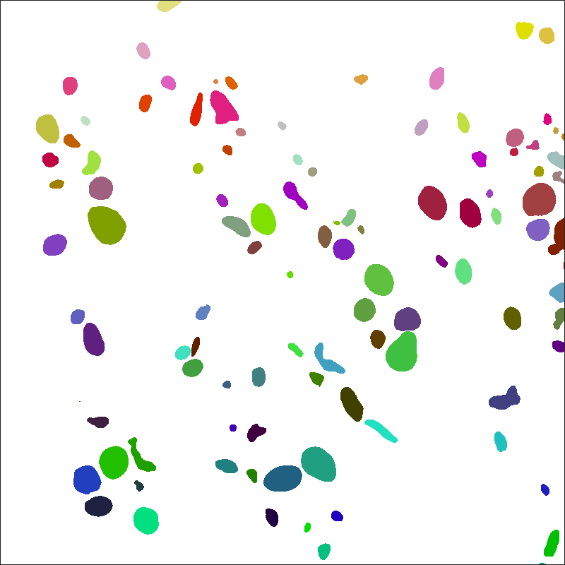 50-instance-organelle-2d.tif, Z=0